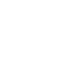 13667898646